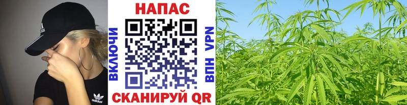 Бошки Шишки SATIVA & INDICA Кировград